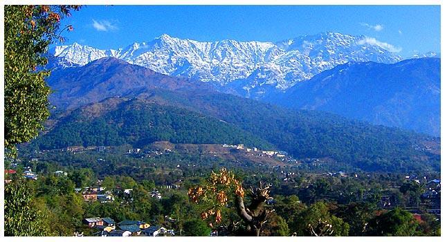 Angel'S Inn Resort Dharamshala Luaran gambar